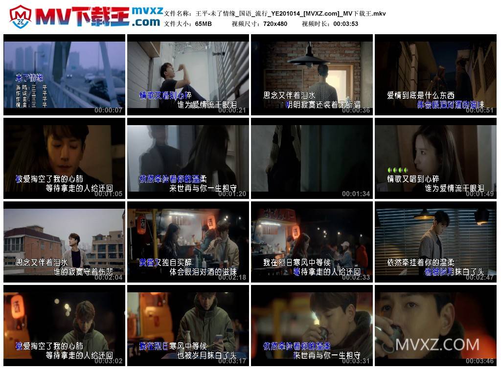 王平-未了情缘_国语_流行_YE201014